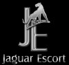 Bild: Jaguar-Escort