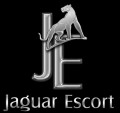 Bild: Jaguar-Escort in Frankfurt am Main