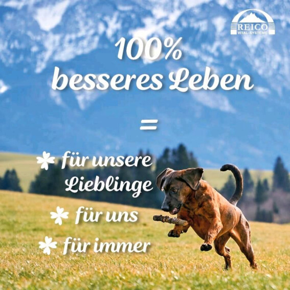 Für unsere Vierbeiner = für ein besseres Leben