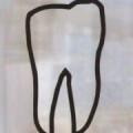 Joost van der Van der Straeten Zahnarzt