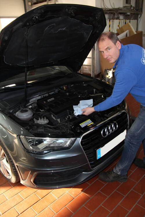 Audi Inspektion