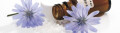 Logo Gutierrez, Josefina