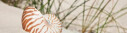 Logo Jungmann, Dorit