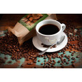 Kaffeerösterei Bavaccino GmbH