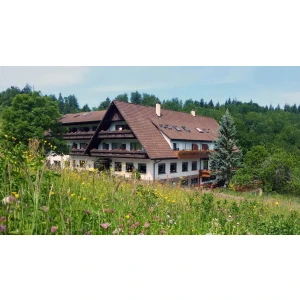 Kalikutt