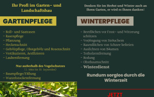 Innenseite Fyler NEU NEU.jpg