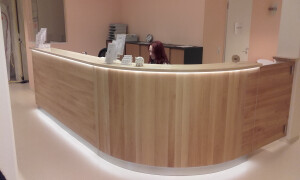 Praixeinrichtung Empfangstheke