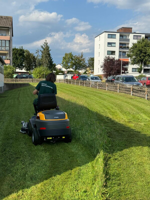 Stiga Park 500WX beim Rasenmähen