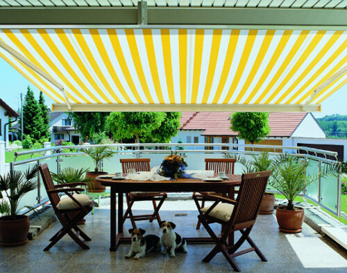 Markise gelb