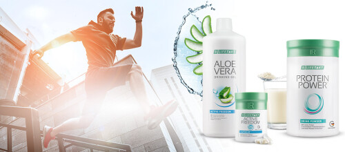 Knochen, Gelenke & Muskeln