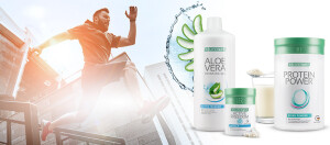 Knochen, Gelenke & Muskeln