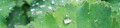 Logo Schmidt, Klaus