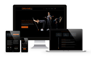 Webdesign Dehnex.png