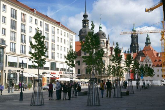Dresden am Neumarkt