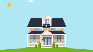 9U5S2FFCM7NKUWDY (online-video-cutter.com).mp4