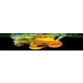 kuechen-rueckwand.com
