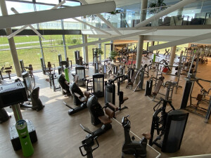 IMMUNSYSTEM_STAERKEN+LEISTUNGSFÄHIGER_WERDEN (Groß).jpg