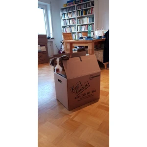 Kurth-Umzüge Hüseyin Karakurt