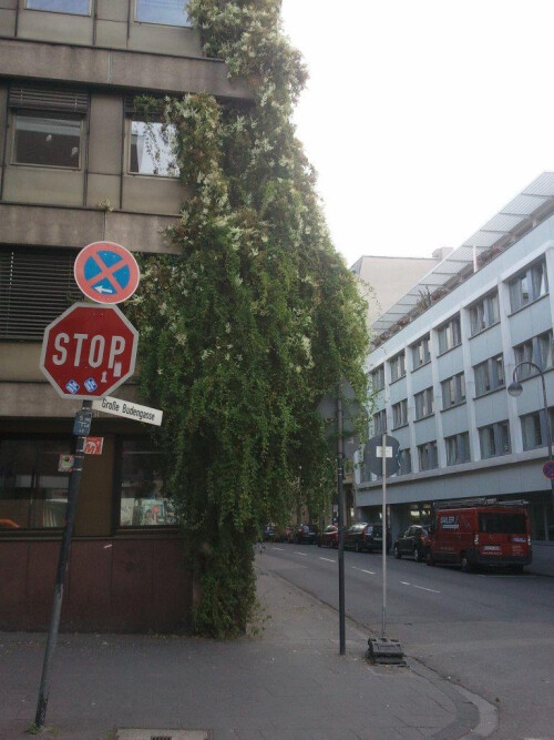 WDR 2 vorher