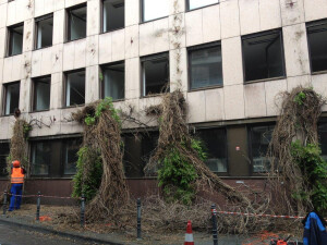 WDR alles weg...