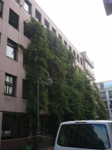 WDR vorher