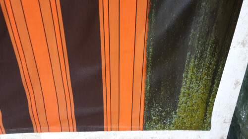 Markisentuchreinigung