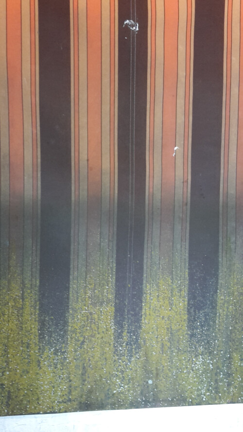 Markisentuchreinigung