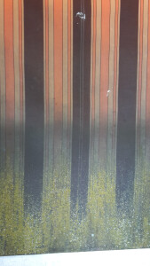 Markisentuchreinigung