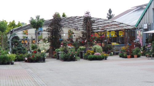 Gartenpflanzen und Zubehör