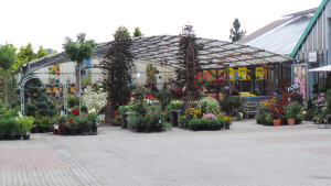 Gartenpflanzen und Zubehör
