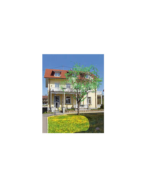 Gästehaus Altes Schulhaus