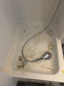 IMG_0210.jpeg