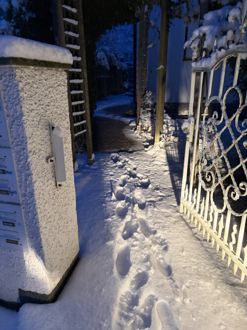 IMG_0170.jpeg