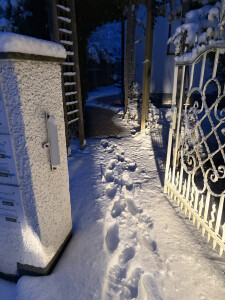 IMG_0170.jpeg
