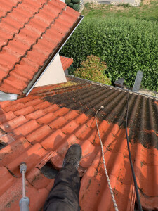 IMG_0049.jpeg