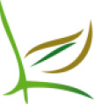 Bild: Leineweber Garten- und Landschaftsbau Meisterbetrieb in Bodenheim, Rheinhessen