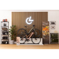 LENZ E-Bikes GmbH