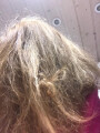 Bild: Liebeshaar Friseur in Koblenz am Rhein