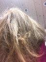 Bild: Liebeshaar Friseur in Koblenz am Rhein