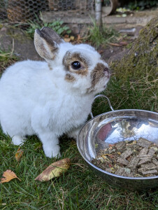 Oh lecker...