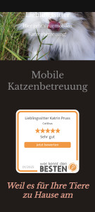 Website, Screenshot