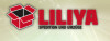 Bild: LILIYA Willmer Int. Spedition und Umzüge