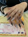 lisa nail
