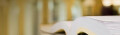 Logo Piekarski, Lothar