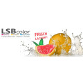 LSBcolor e.K. Fachgroßhandel für Chemietechnik