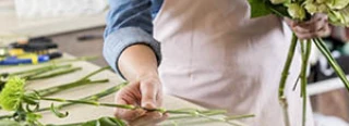 Beste Blumenlden in Kleve & der Nhe  Top Bewertungen & Ranking 2026   wer kennt den BESTEN