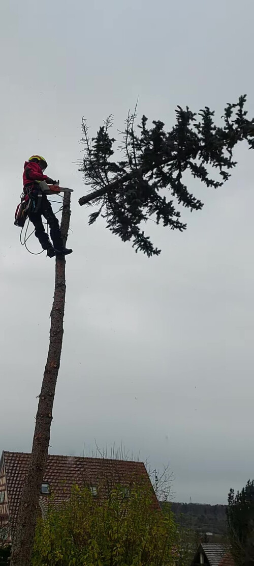 20231129_095633 - frame at 0m32s.jpg