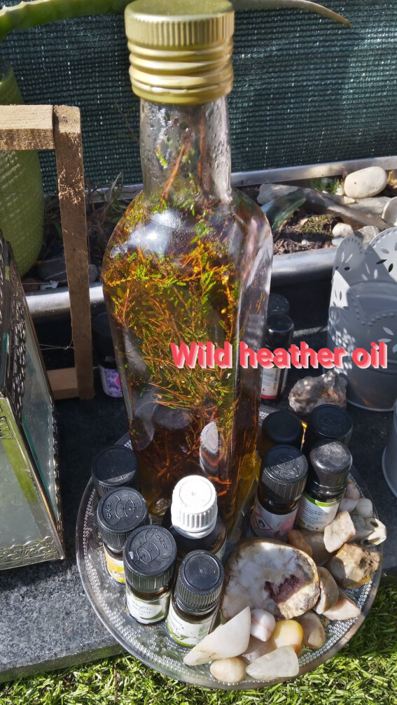 Öle mit Kräutern aus Wildsammlung