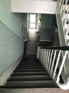 image11.jpeg