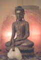 meditierender Buddha